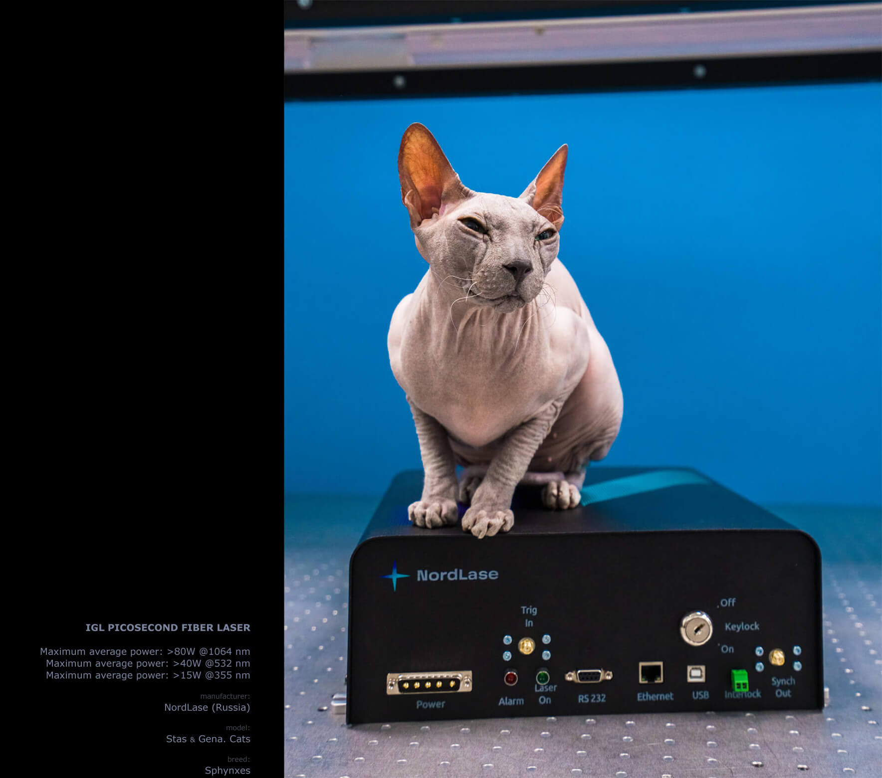 календарь с животными — Изображение №27 — Графика на Dprofile