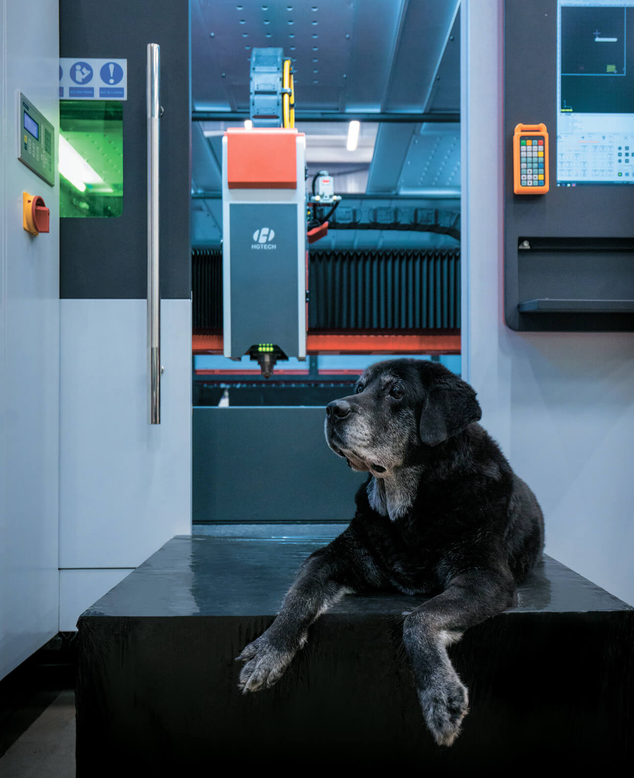 календарь с животными — Изображение №4 — Графика на Dprofile