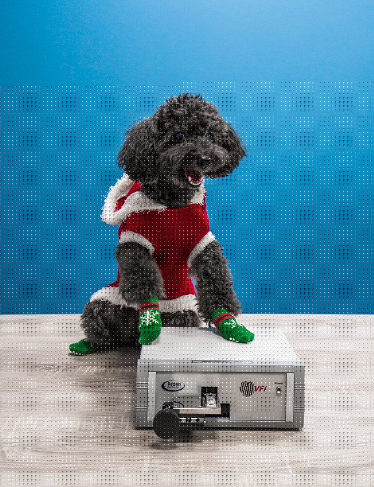 календарь с животными — Изображение №16 — Графика на Dprofile