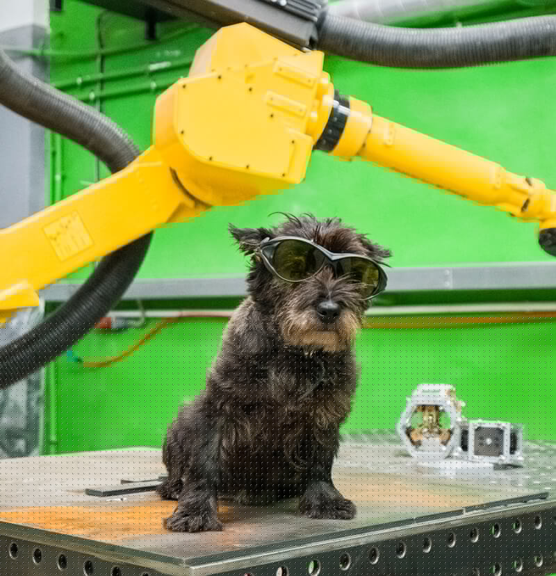 календарь с животными — Изображение №46 — Графика на Dprofile