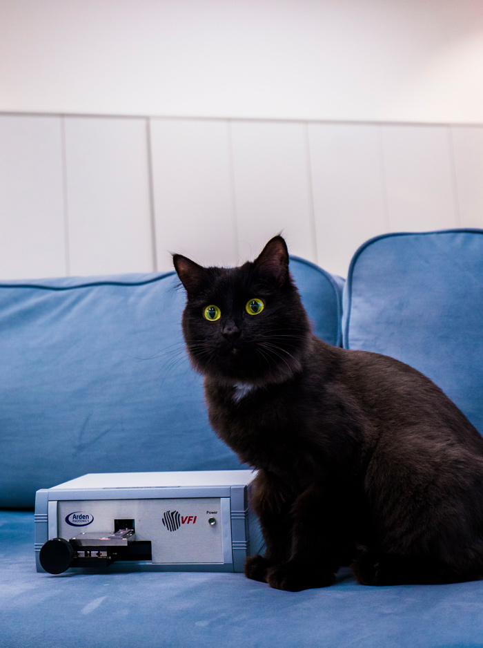 календарь с животными — Изображение №22 — Графика на Dprofile