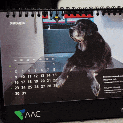 календарь с животными — Изображение №47 — Графика на Dprofile