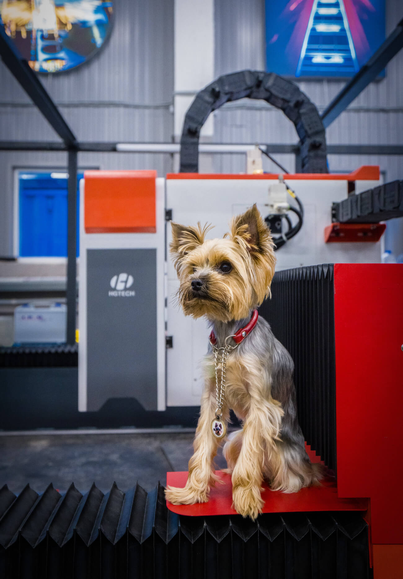 календарь с животными — Изображение №34 — Графика на Dprofile