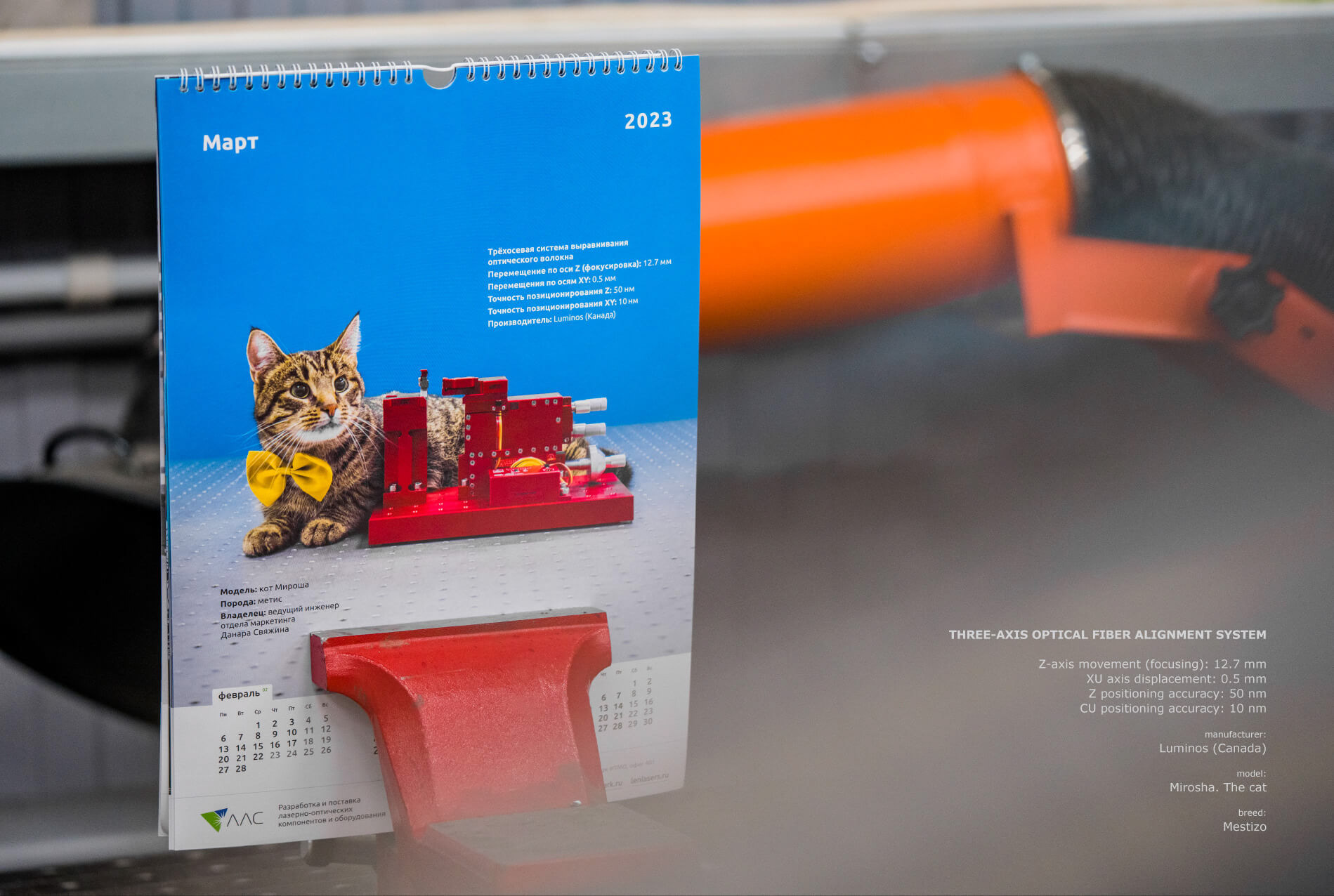 календарь с животными — Изображение №19 — Графика на Dprofile