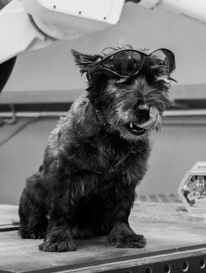 календарь с животными — Изображение №10 — Графика на Dprofile