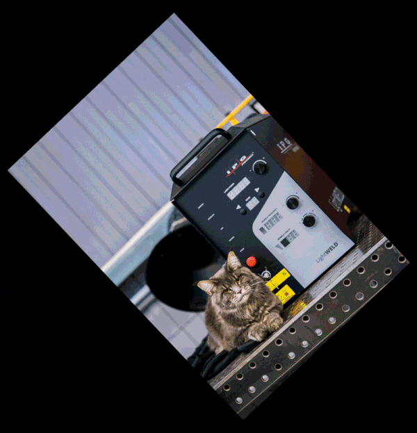 календарь с животными — Изображение №37 — Графика на Dprofile