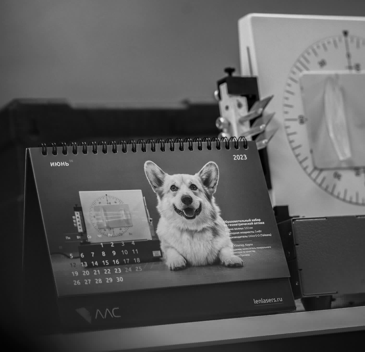 календарь с животными — Изображение №43 — Графика на Dprofile