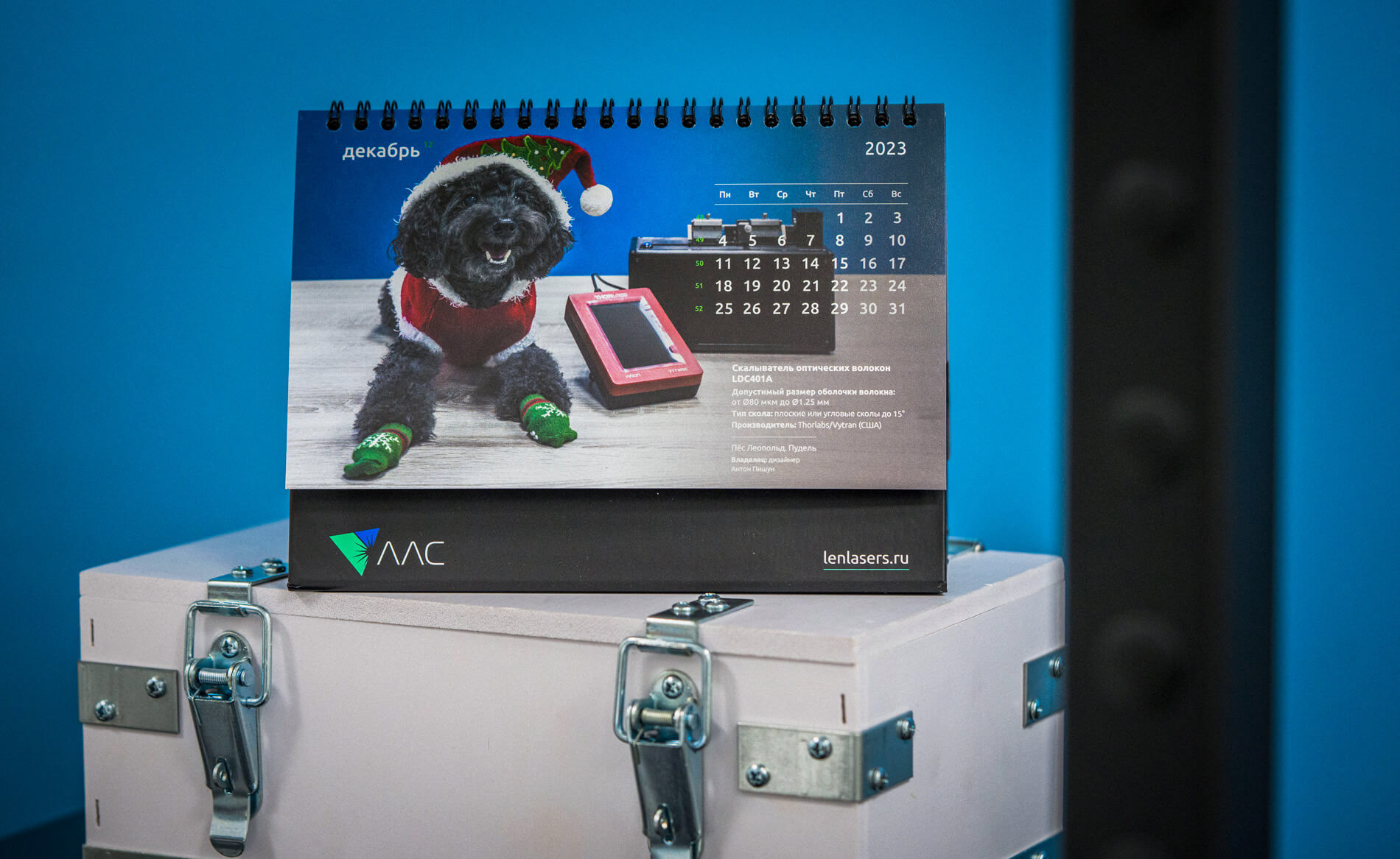 календарь с животными — Изображение №41 — Графика на Dprofile