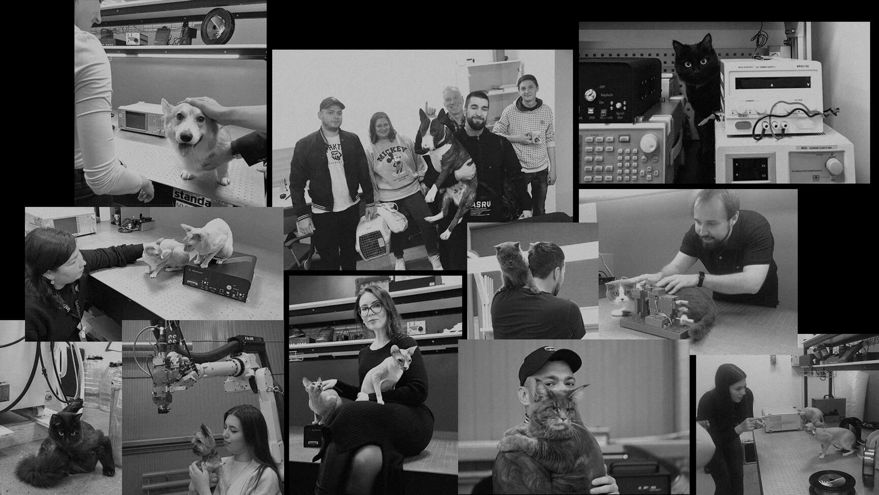 календарь с животными — Изображение №20 — Графика на Dprofile