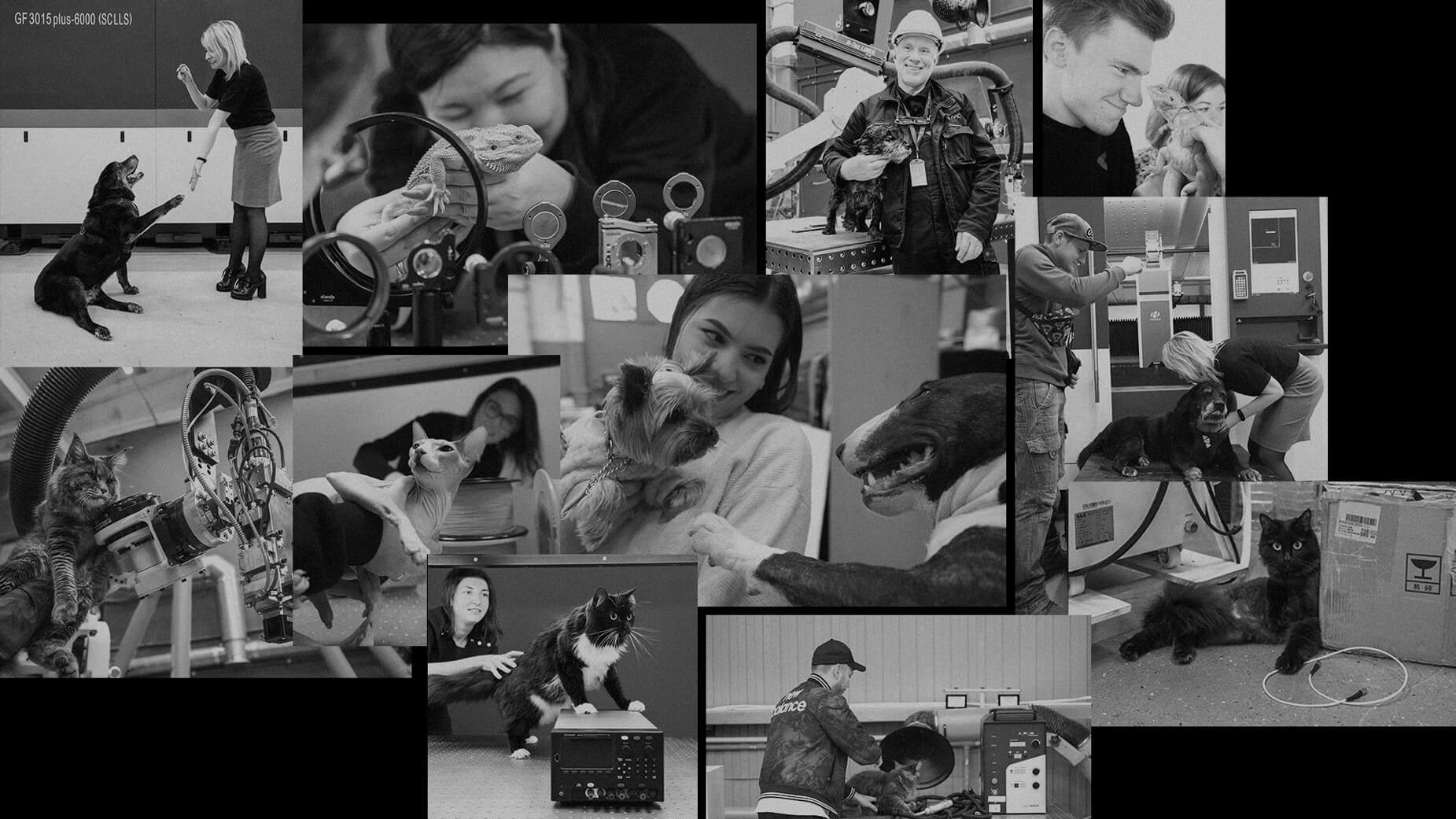 календарь с животными — Изображение №33 — Графика на Dprofile