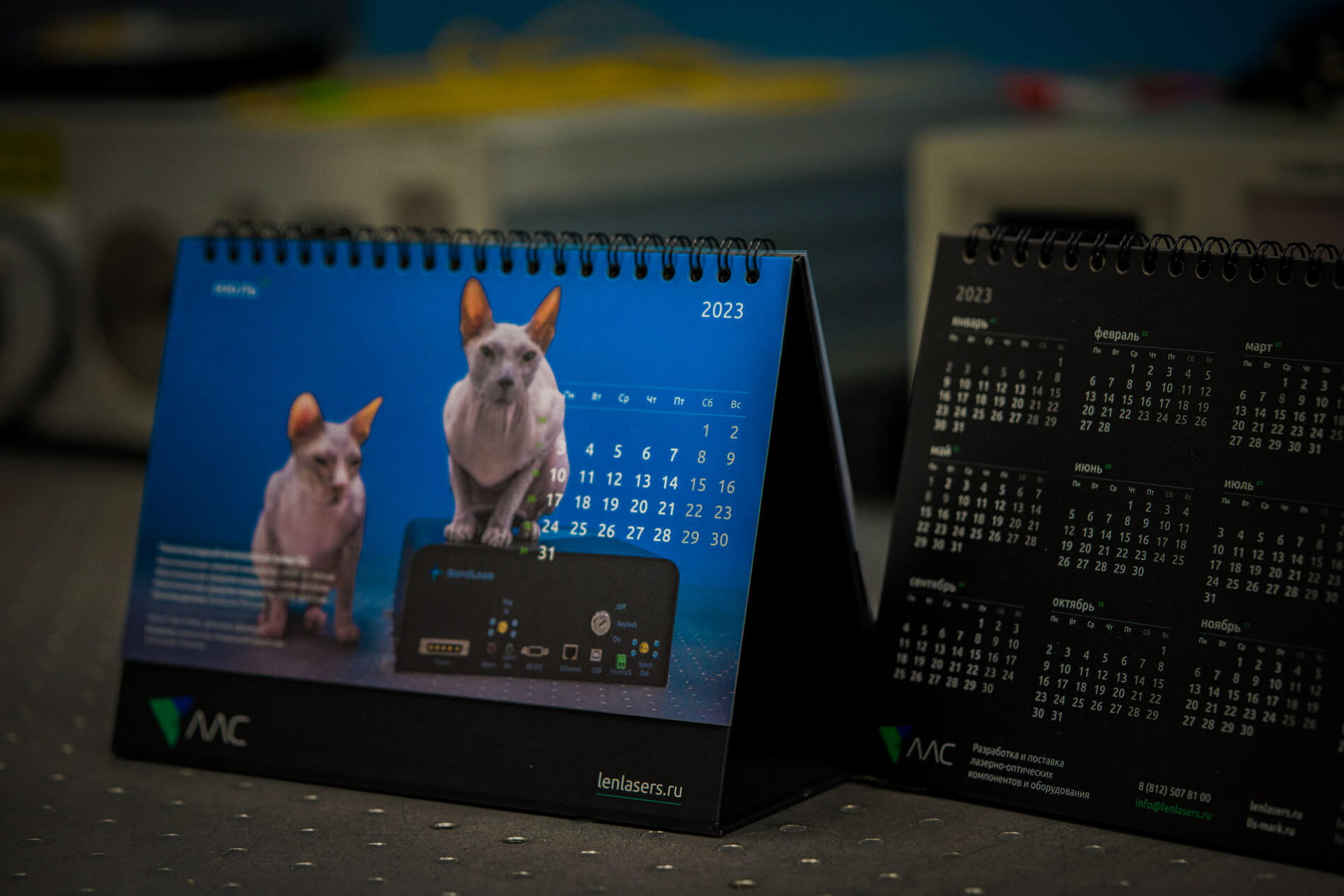 календарь с животными — Изображение №29 — Графика на Dprofile