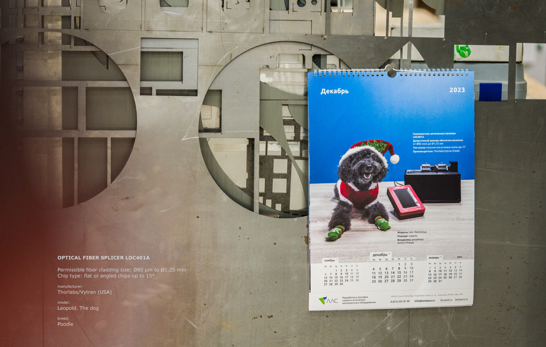 календарь с животными — Изображение №12 — Графика на Dprofile