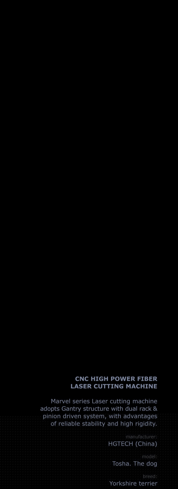 календарь с животными — Изображение №35 — Графика на Dprofile