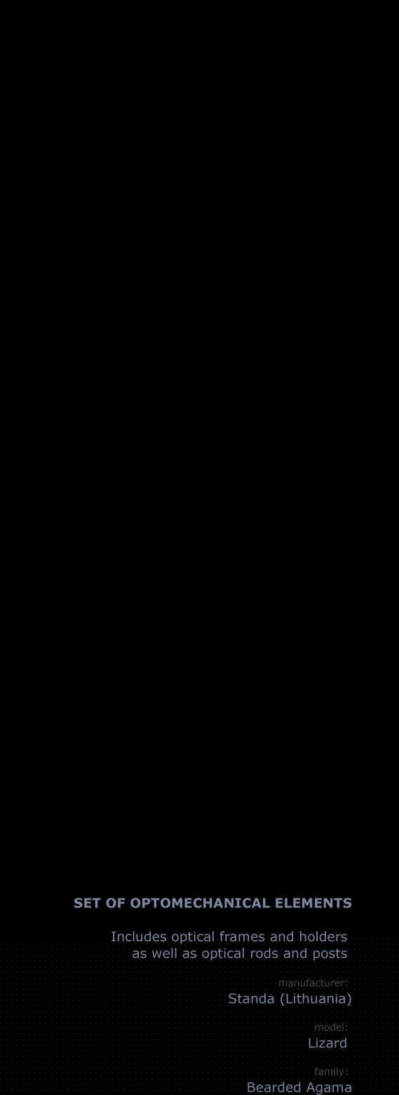 календарь с животными — Изображение №3 — Графика на Dprofile