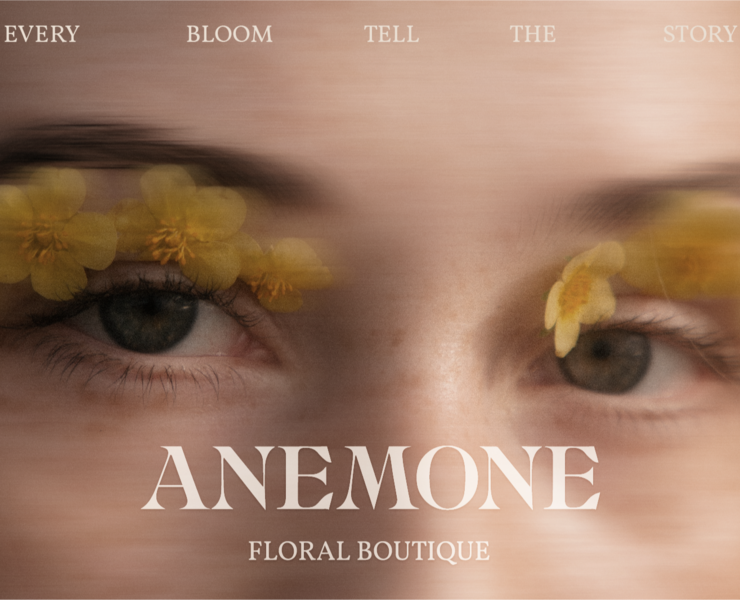 Anemone / Floral Boutique / Brand Identity — Брендинг на Dprofile