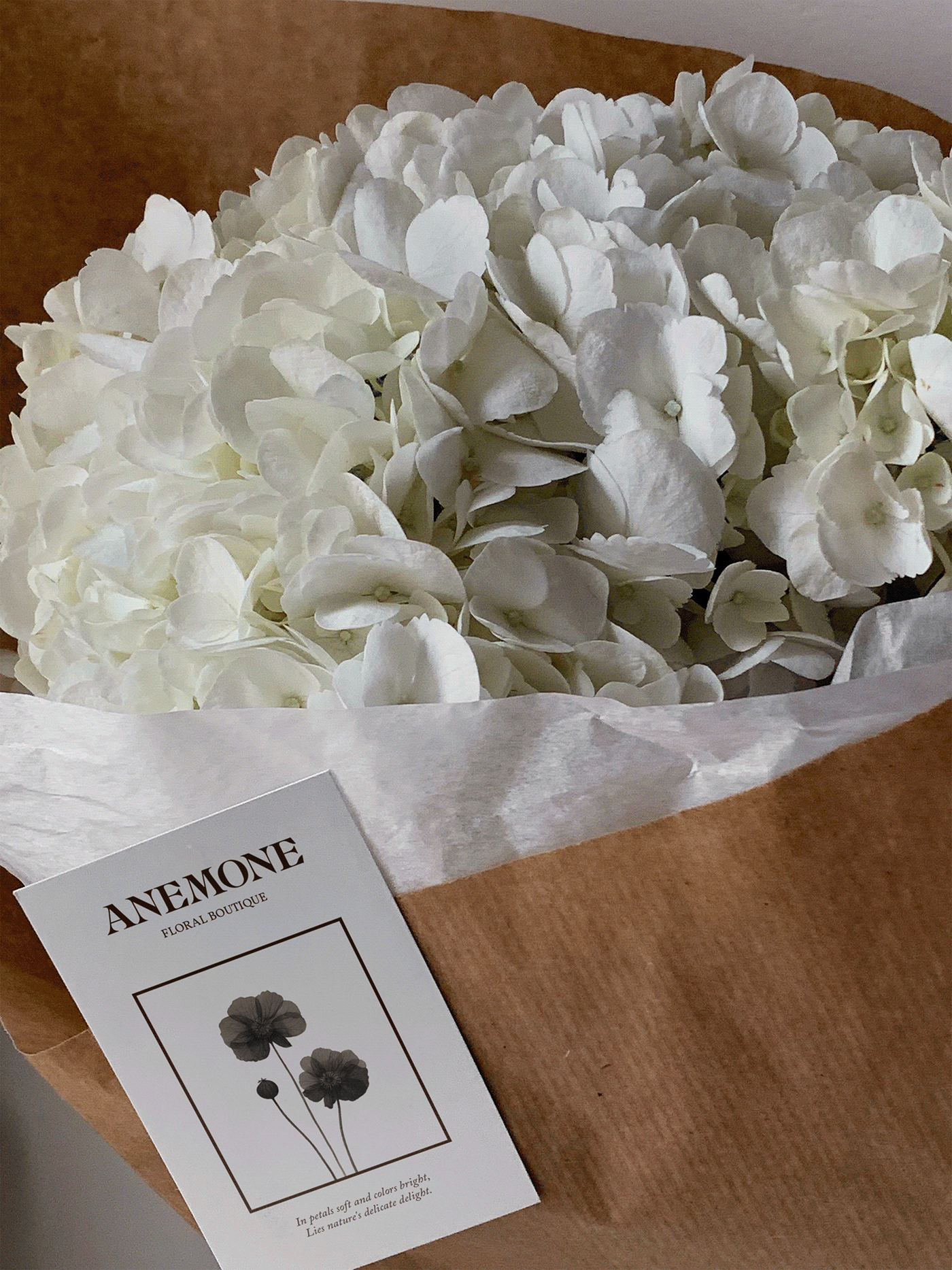 Anemone / Floral Boutique / Brand Identity — Изображение №15 — Брендинг на Dprofile