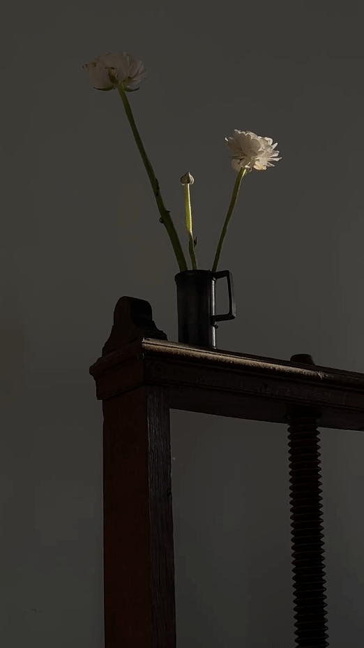 Anemone / Floral Boutique / Brand Identity — Изображение №13 — Брендинг на Dprofile