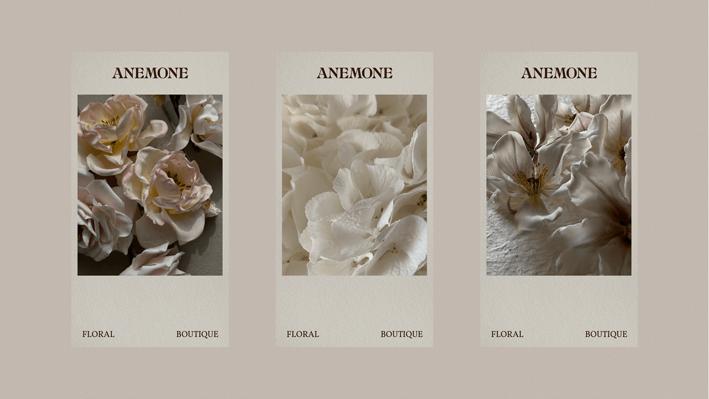 Anemone / Floral Boutique / Brand Identity — Изображение №14 — Брендинг на Dprofile