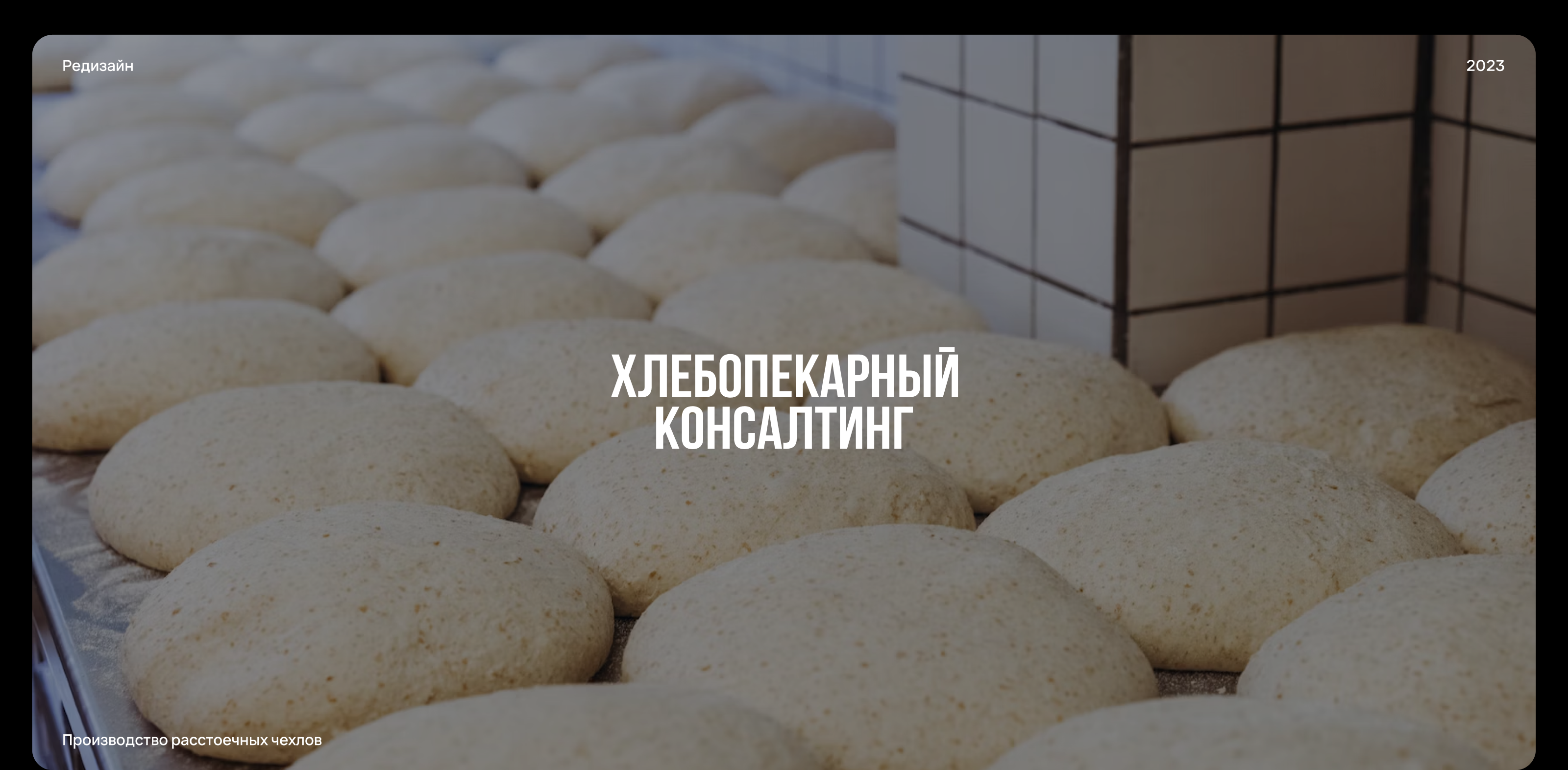 Хлебопекарный Консалтинг — Редизайн — Изображение №1 — Интерфейсы на Dprofile