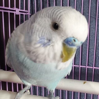 Аватар пользователя Надежда Сербиенко