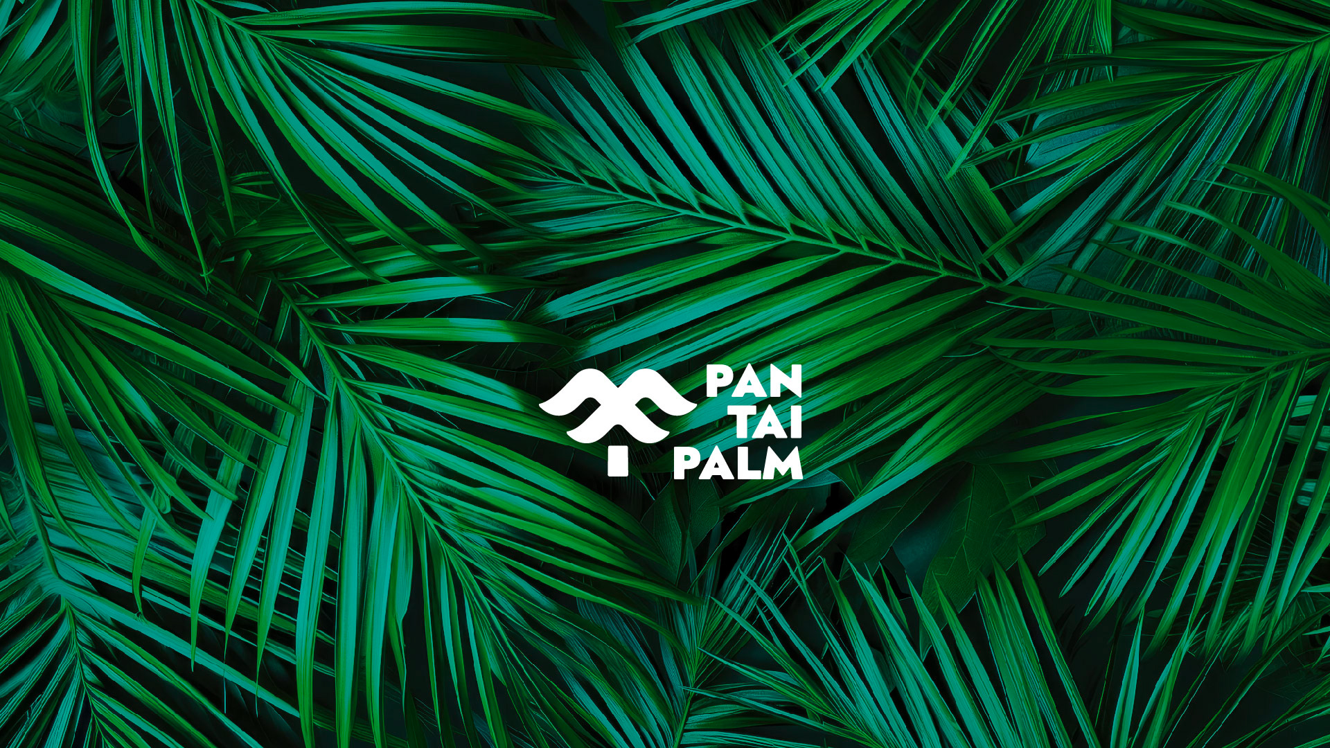 Pantai Palm: Brand Identity — Изображение №1 — Брендинг на Dprofile