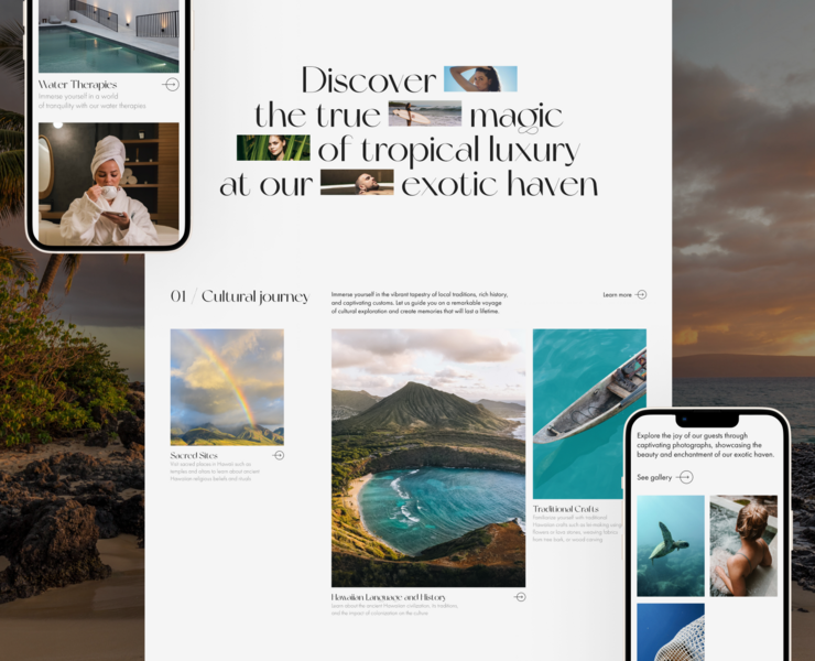 Website design Exotic Haven Hotel на Dprofile