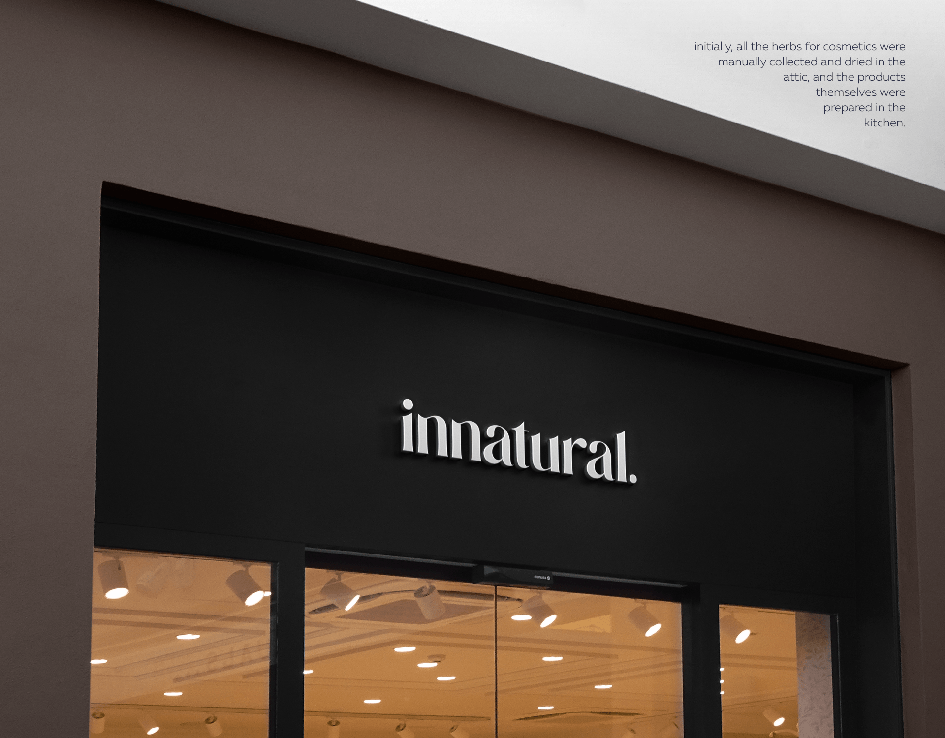 Logo vegan cosmetics brand «innatural» — Изображение №9 — Брендинг на Dprofile