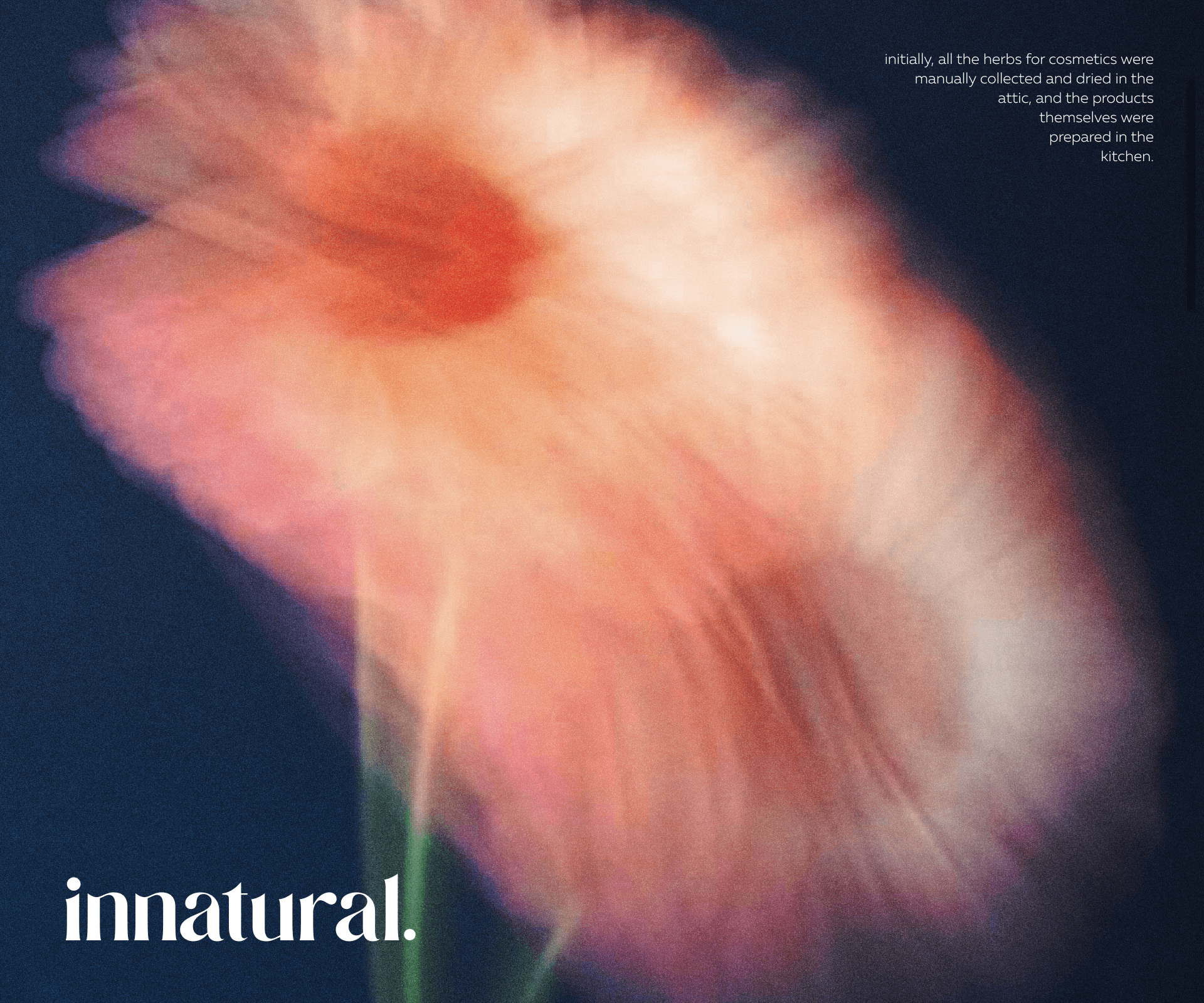 Logo vegan cosmetics brand «innatural» — Изображение №7 — Брендинг на Dprofile