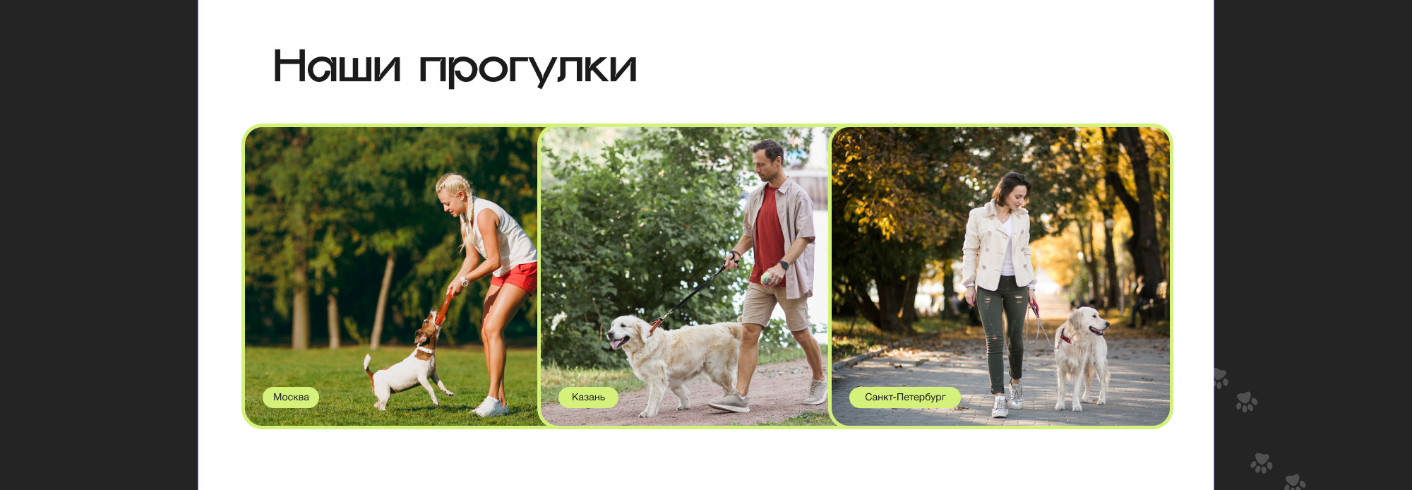 Website - Dog walking service — Изображение №8 — Интерфейсы на Dprofile
