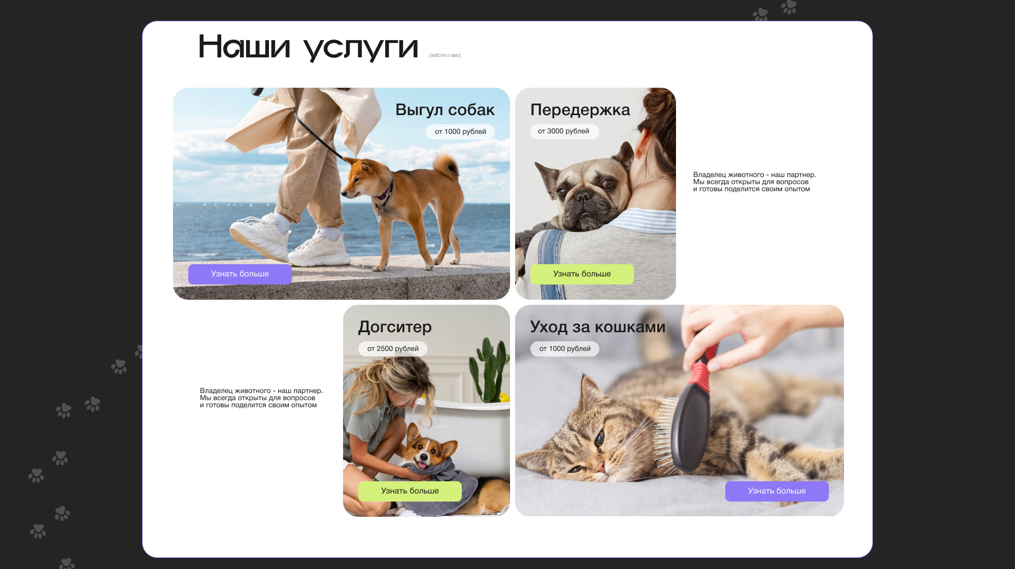 Website - Dog walking service — Изображение №6 — Интерфейсы на Dprofile