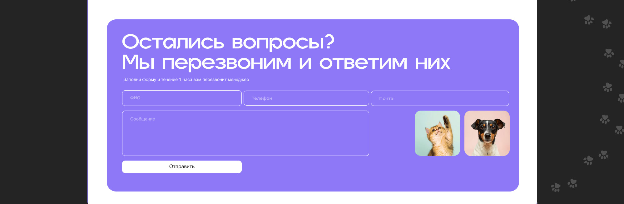 Website - Dog walking service — Изображение №9 — Интерфейсы на Dprofile