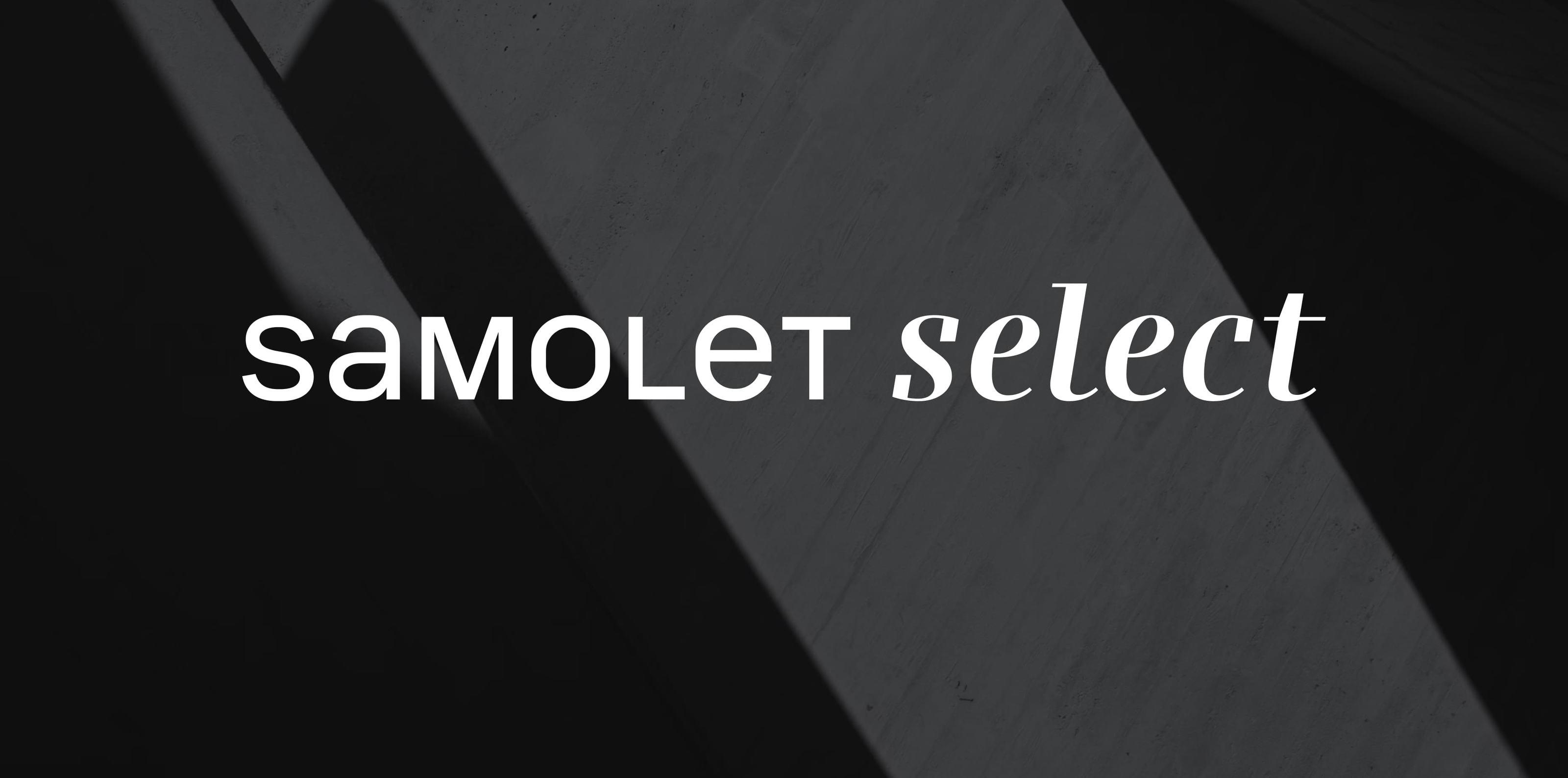 ГК «Самолёт» — Изображение №4 — Брендинг на Dprofile