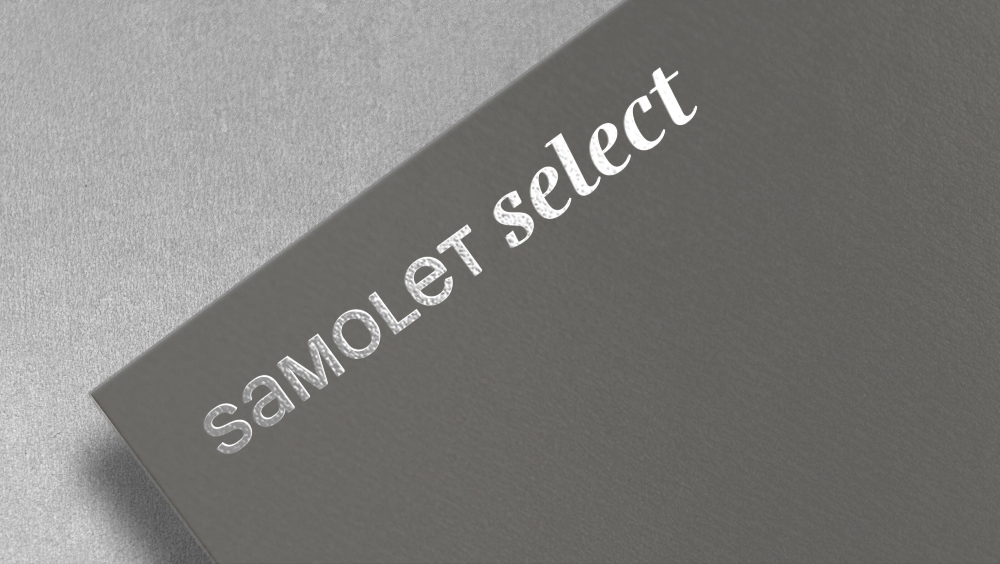 ГК «Самолёт» — Изображение №1 — Брендинг на Dprofile