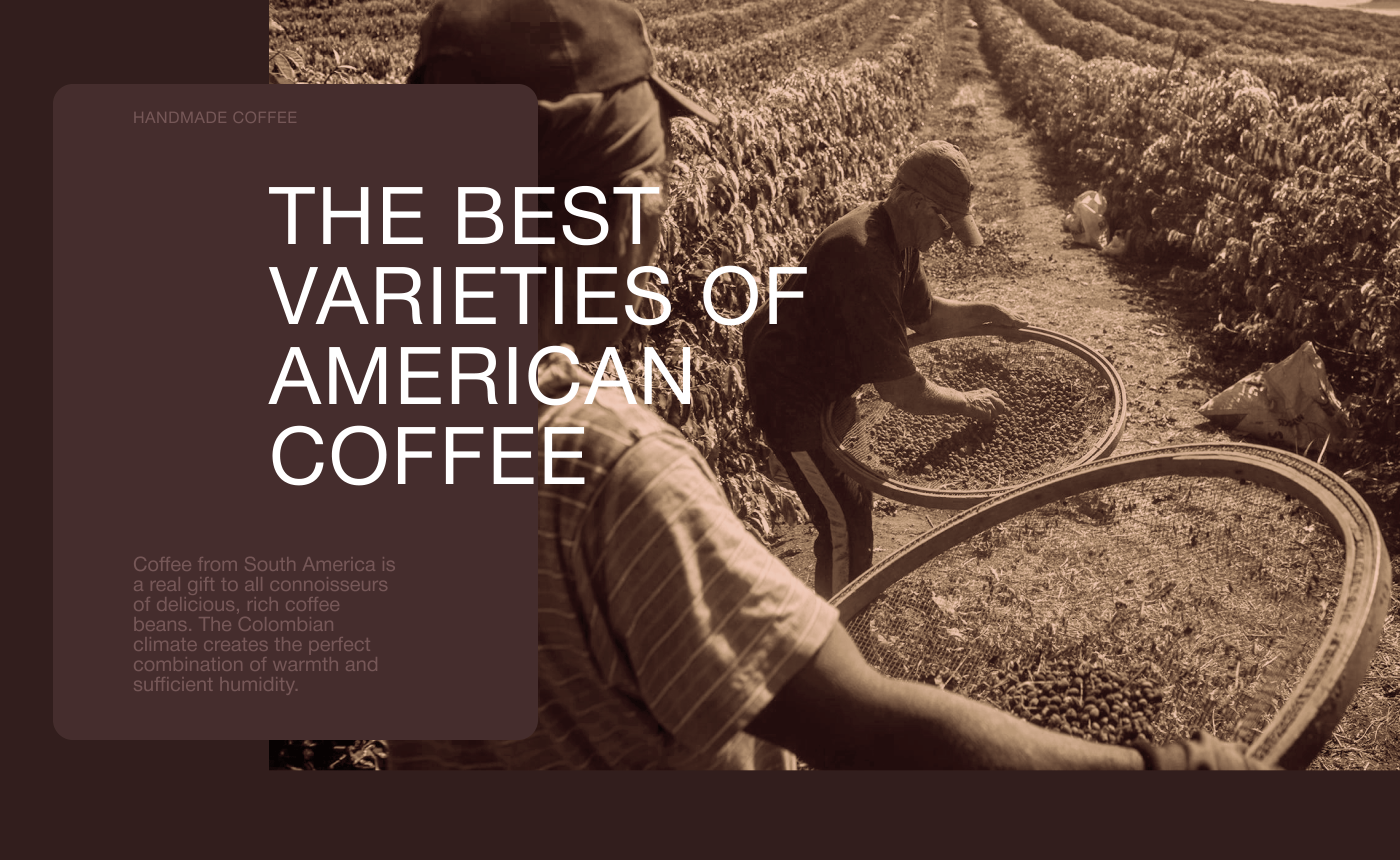COFFE TOSSIDE | Branding & Packaging Design — Изображение №14 — Брендинг, 3D на Dprofile