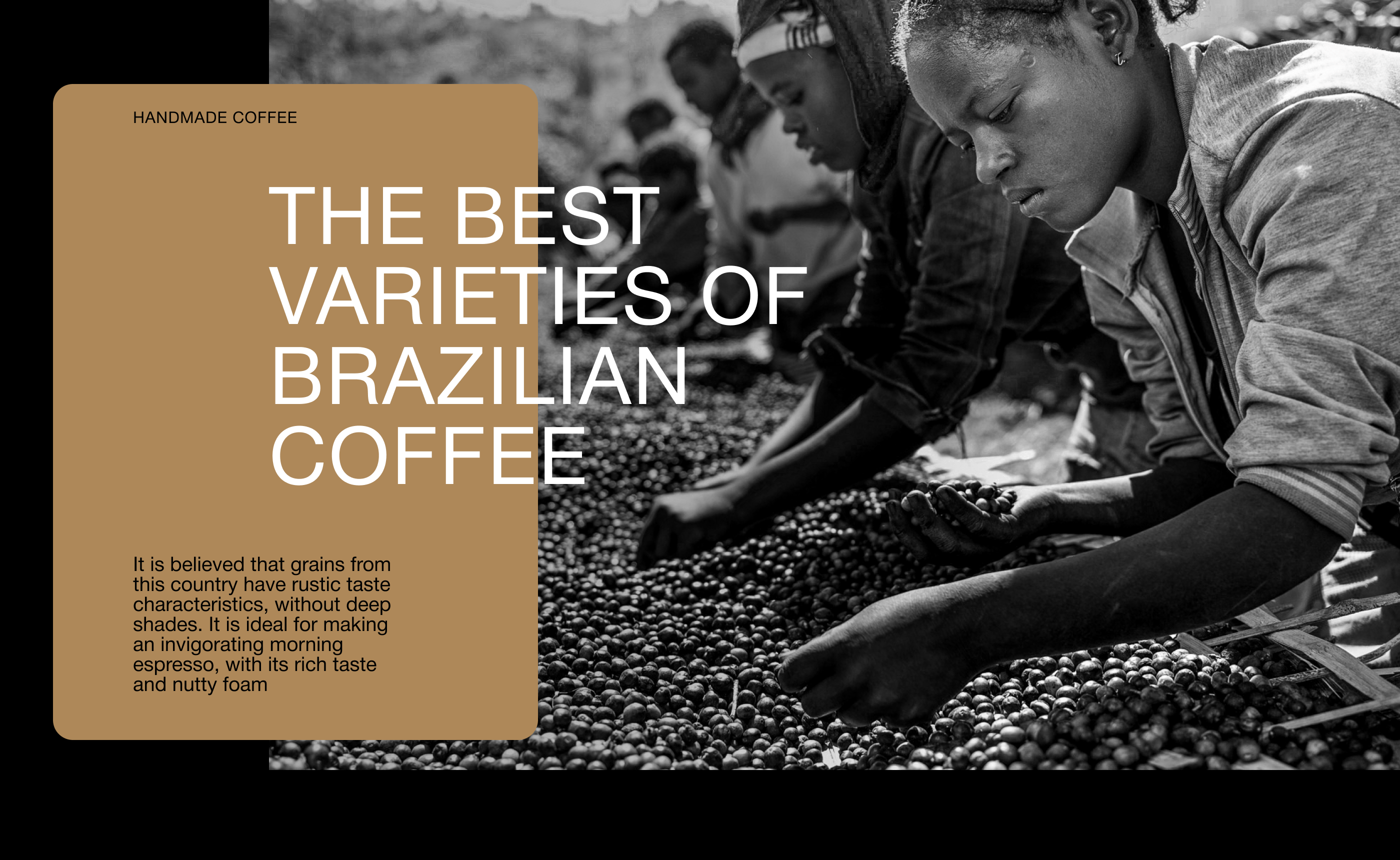 COFFE TOSSIDE | Branding & Packaging Design — Изображение №9 — Брендинг, 3D на Dprofile
