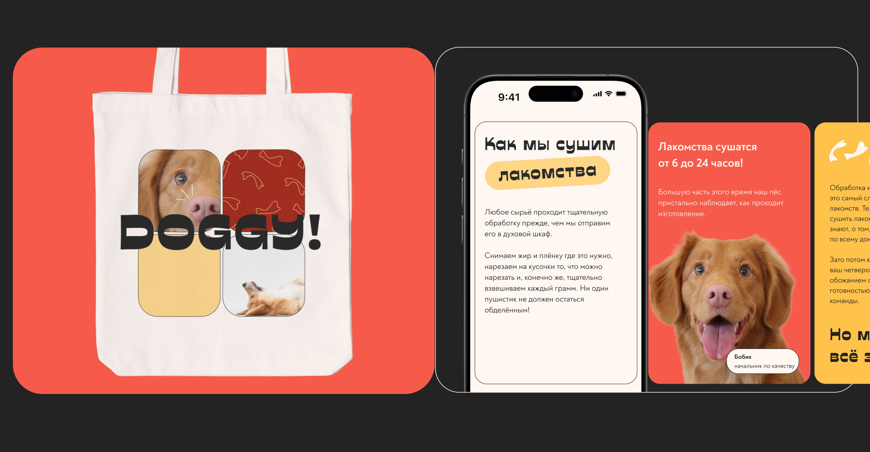 Дизайн интернет-магазина собачьих лакомств DOGGY! — Изображение №5 — Интерфейсы, Брендинг на Dprofile