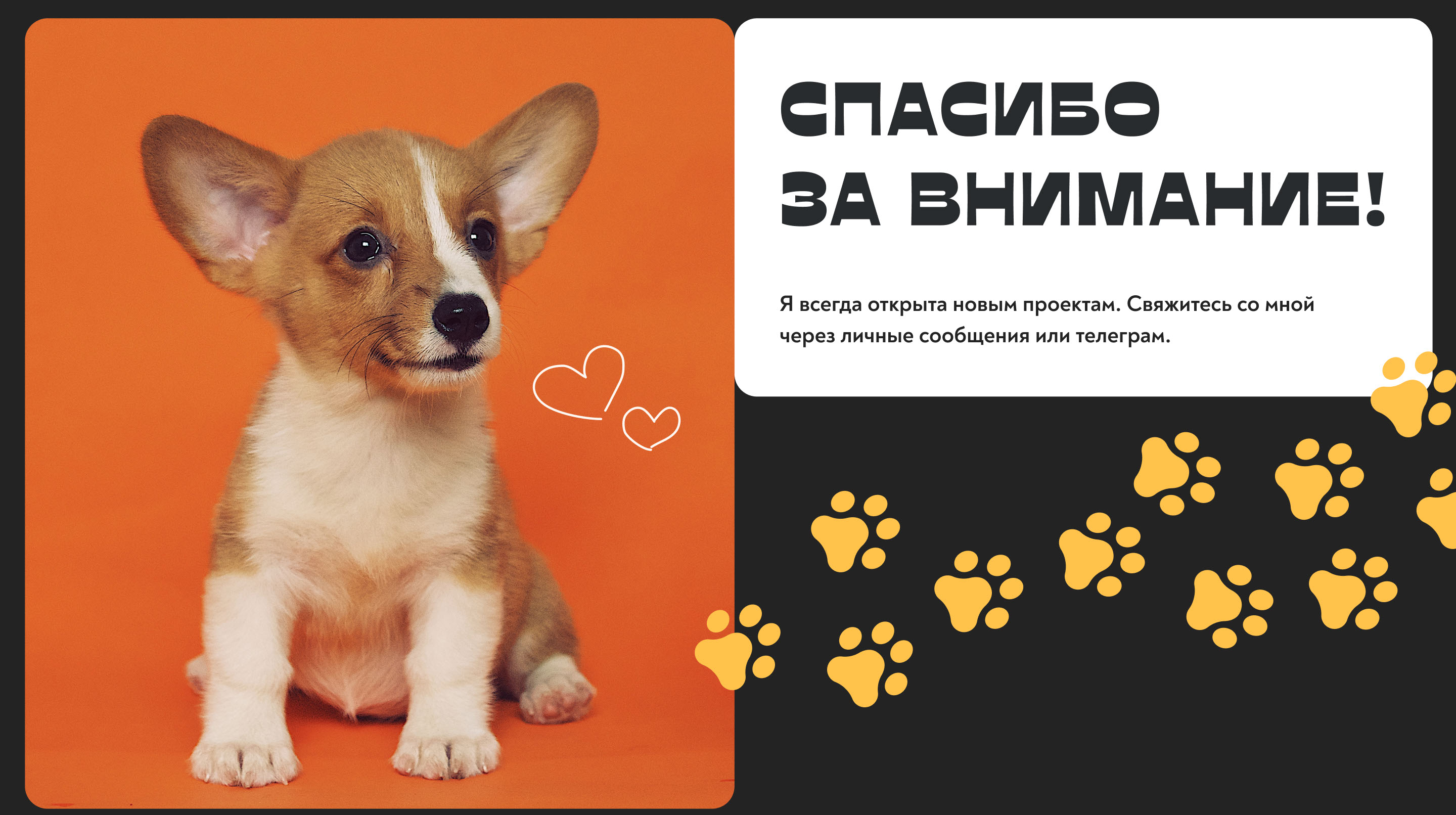 Дизайн интернет-магазина собачьих лакомств DOGGY! — Изображение №10 — Интерфейсы, Брендинг на Dprofile