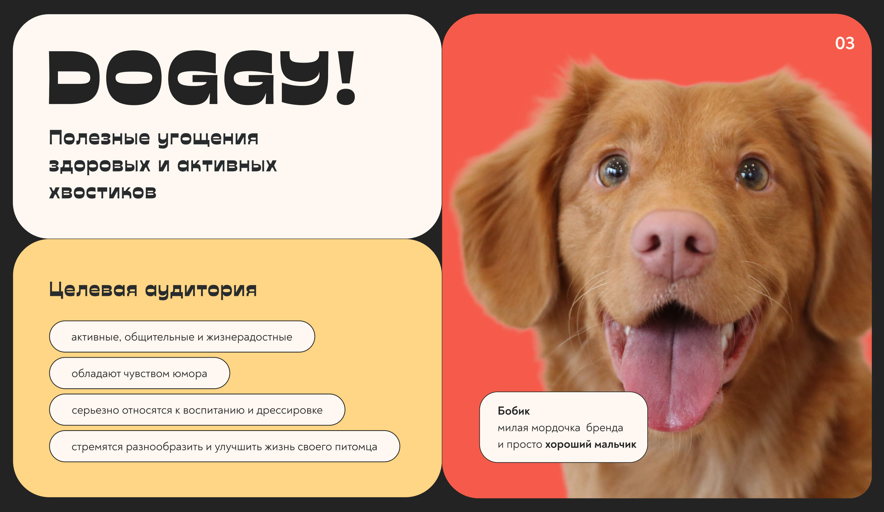 Дизайн интернет-магазина собачьих лакомств DOGGY! — Изображение №4 — Интерфейсы, Брендинг на Dprofile