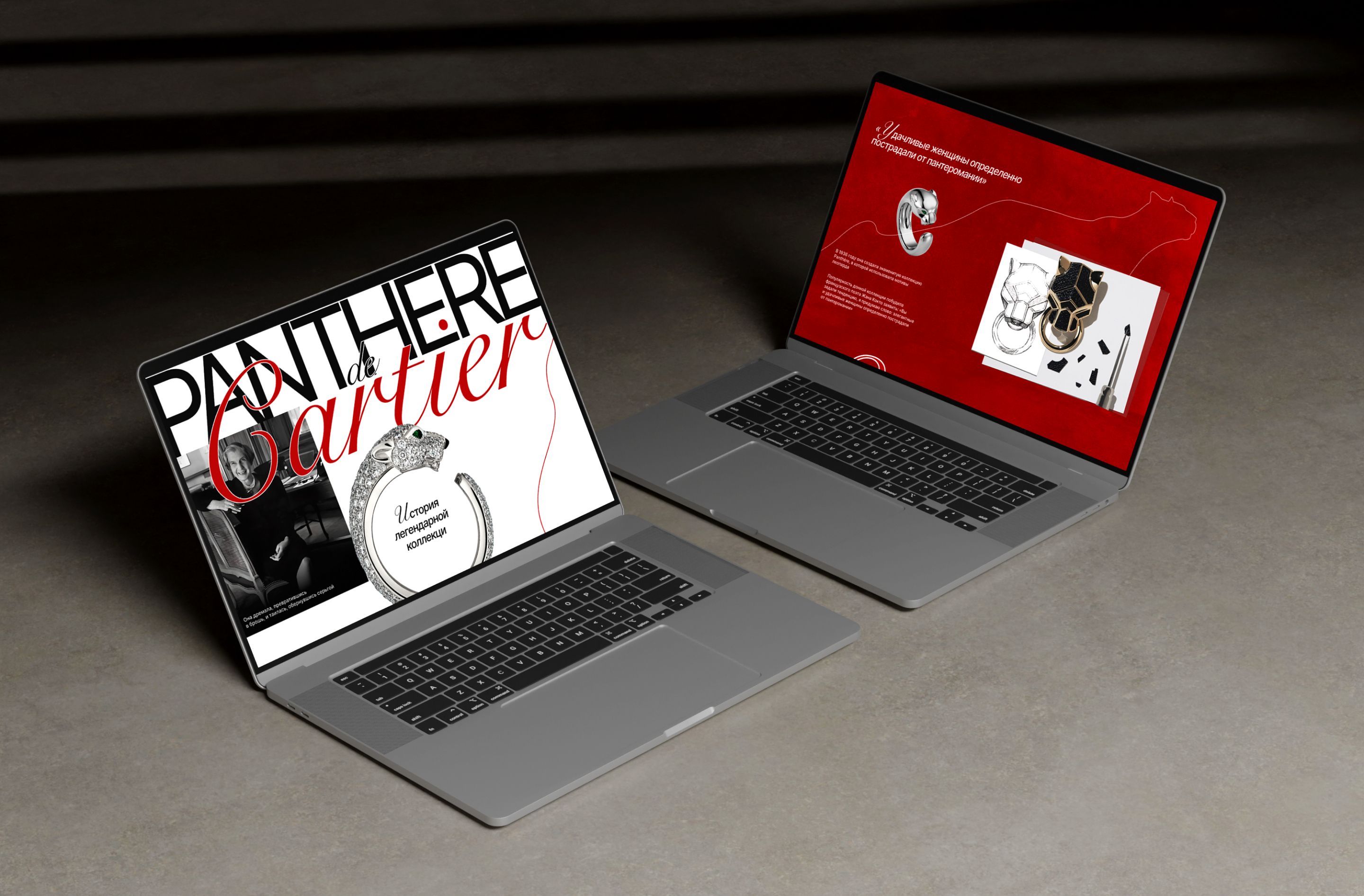 История создания легендарной коллекции Panthere de Cartier — Изображение №3 — Интерфейсы на Dprofile