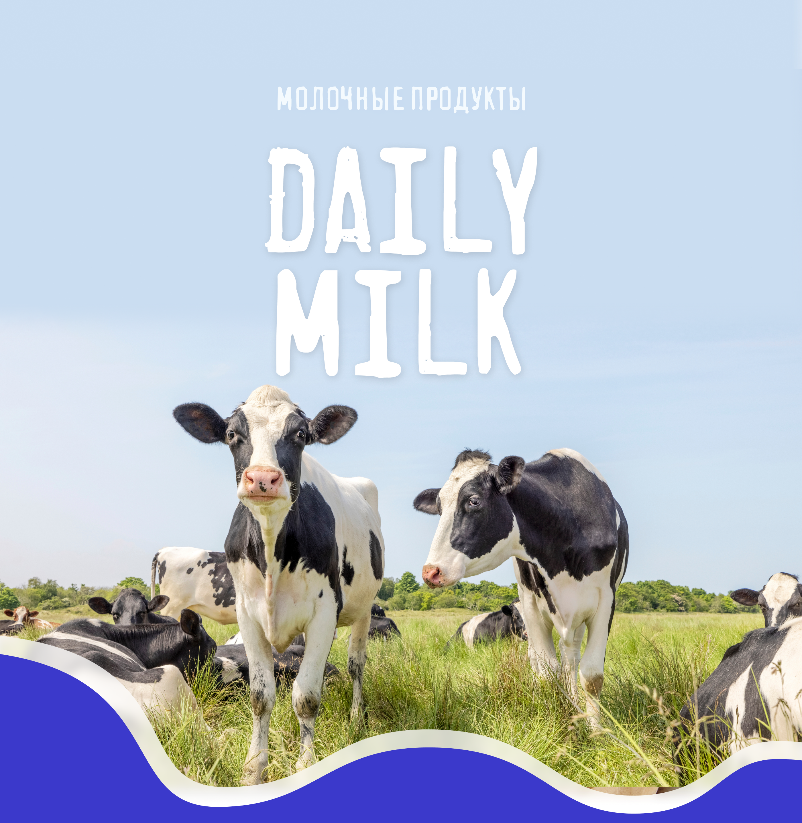 Брендинг и упаковка @ Daily Milk — Изображение №1 — Брендинг на Dprofile
