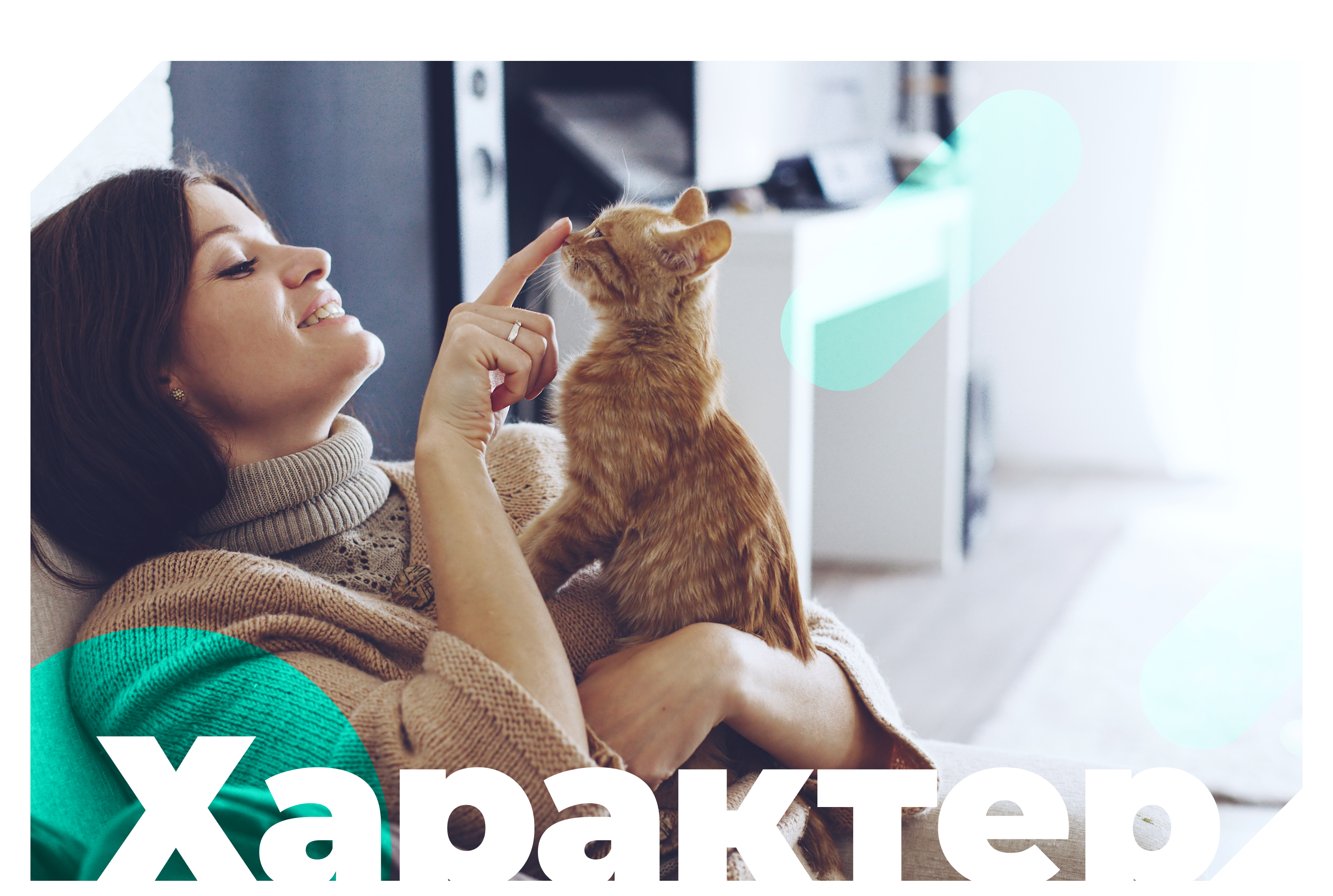 Брендинг и редизайн @ Свой Банк — Изображение №5 — Брендинг на Dprofile