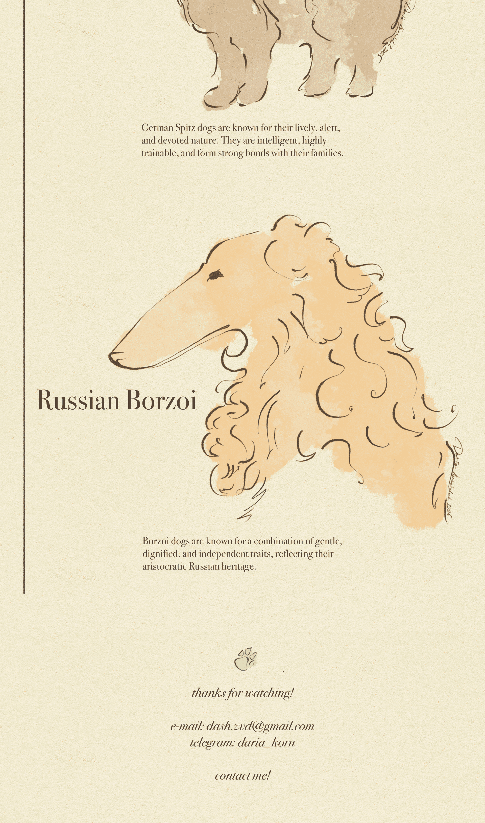 Иллюстрации пород собак для книги — Изображение №2 — Иллюстрация, Графика на Dprofile