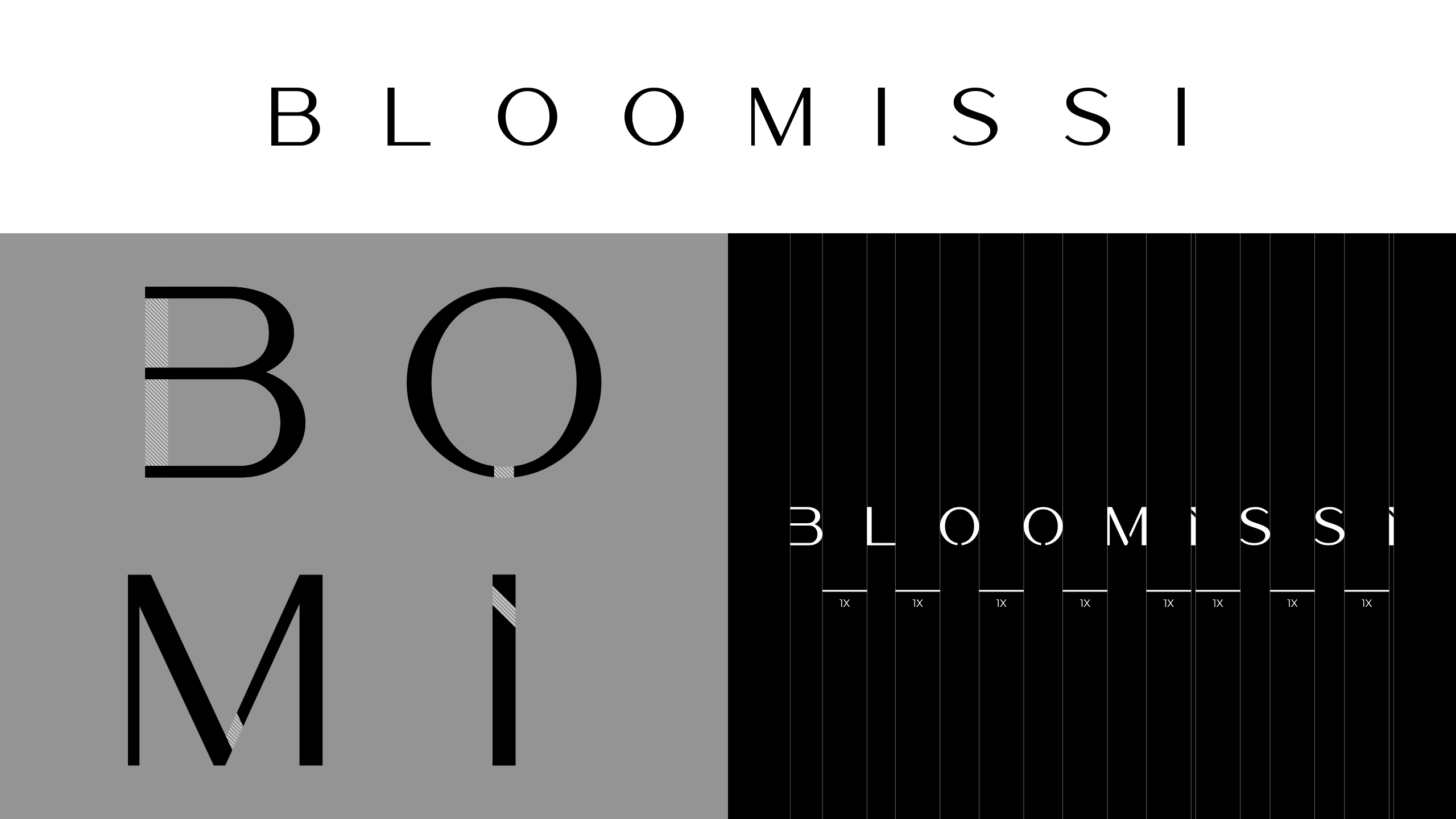 BLOOMISSI® — Изображение №2 — Брендинг на Dprofile