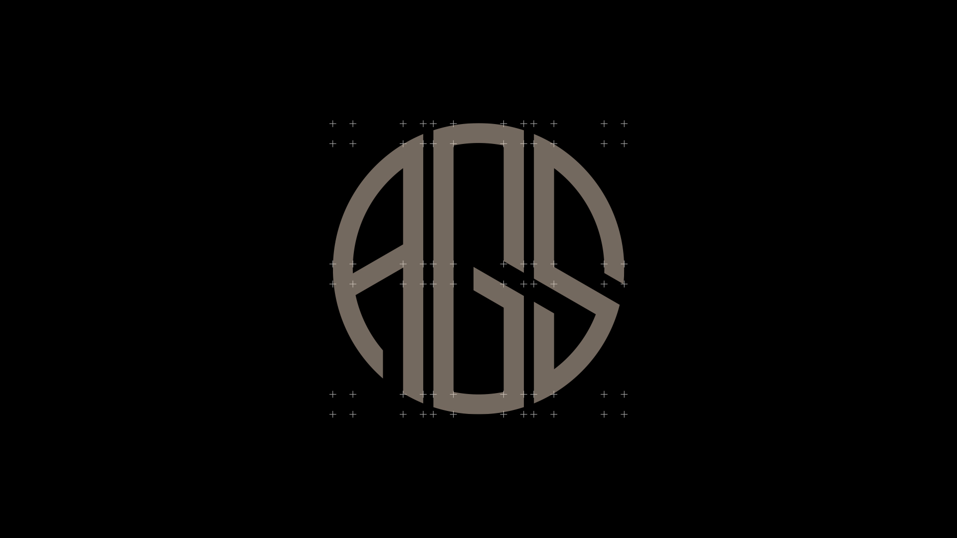 AGS-Branding — Изображение №3 — Брендинг на Dprofile