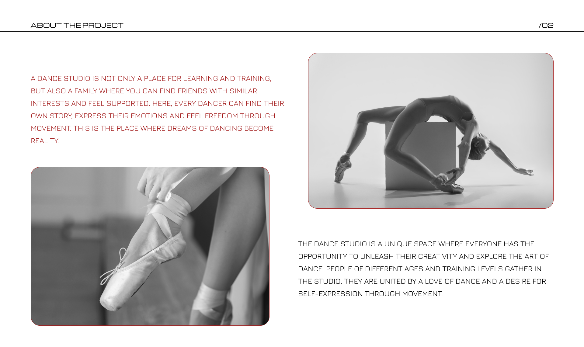 Design for  the ballet studio — Изображение №2 — Интерфейсы, Брендинг на Dprofile