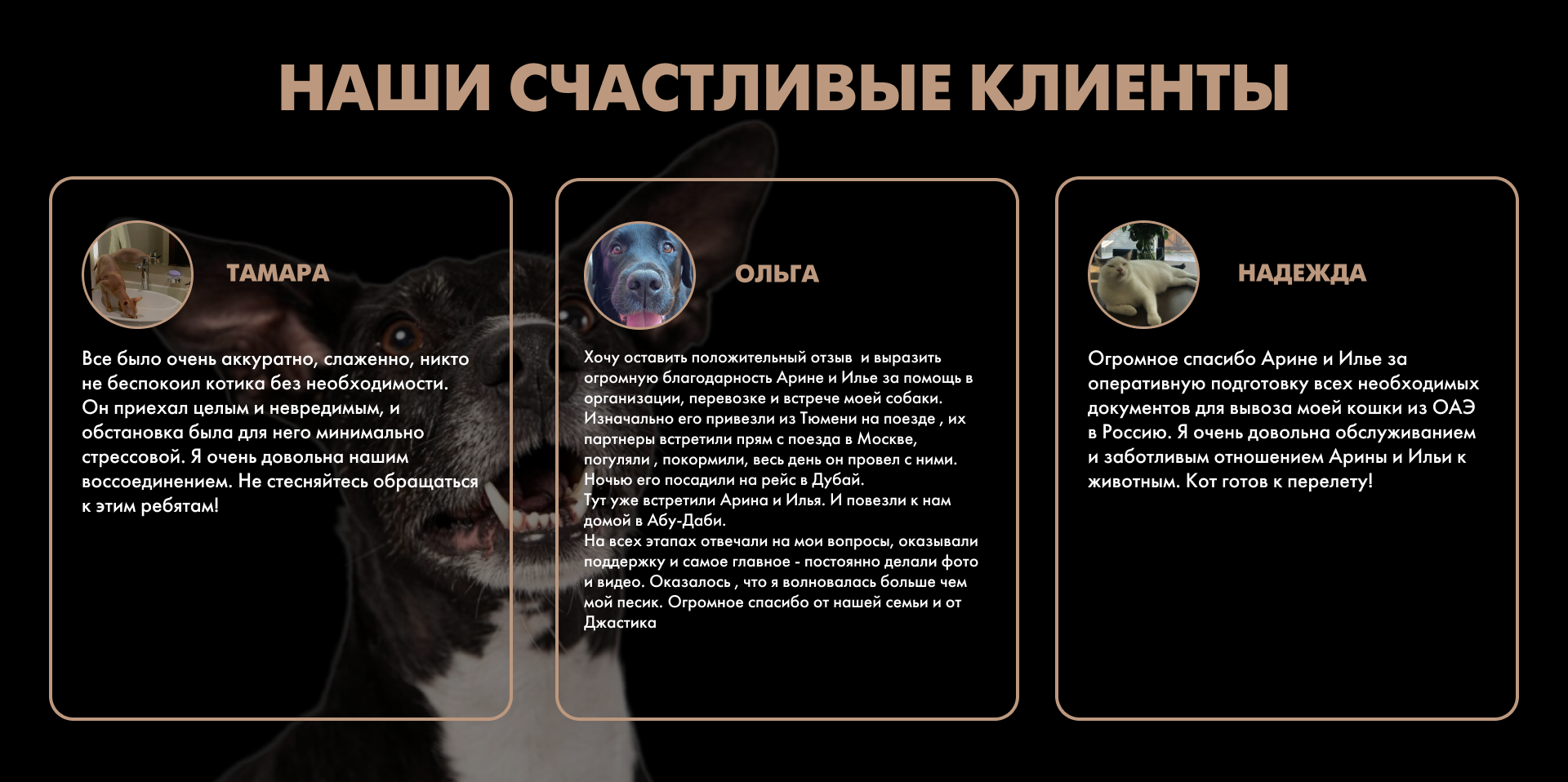 DELOROPETS — Изображение №6 — Интерфейсы, Брендинг на Dprofile