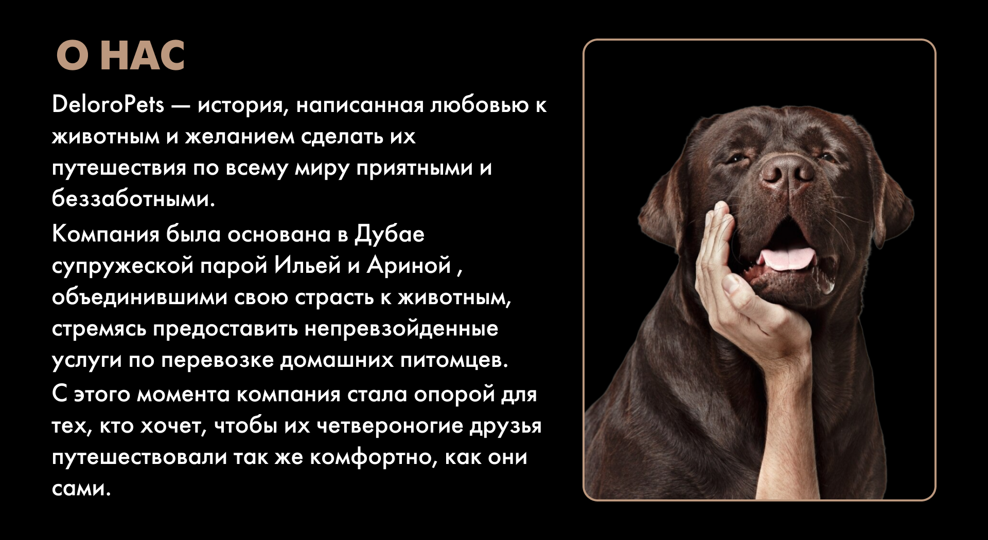 DELOROPETS — Изображение №2 — Интерфейсы, Брендинг на Dprofile