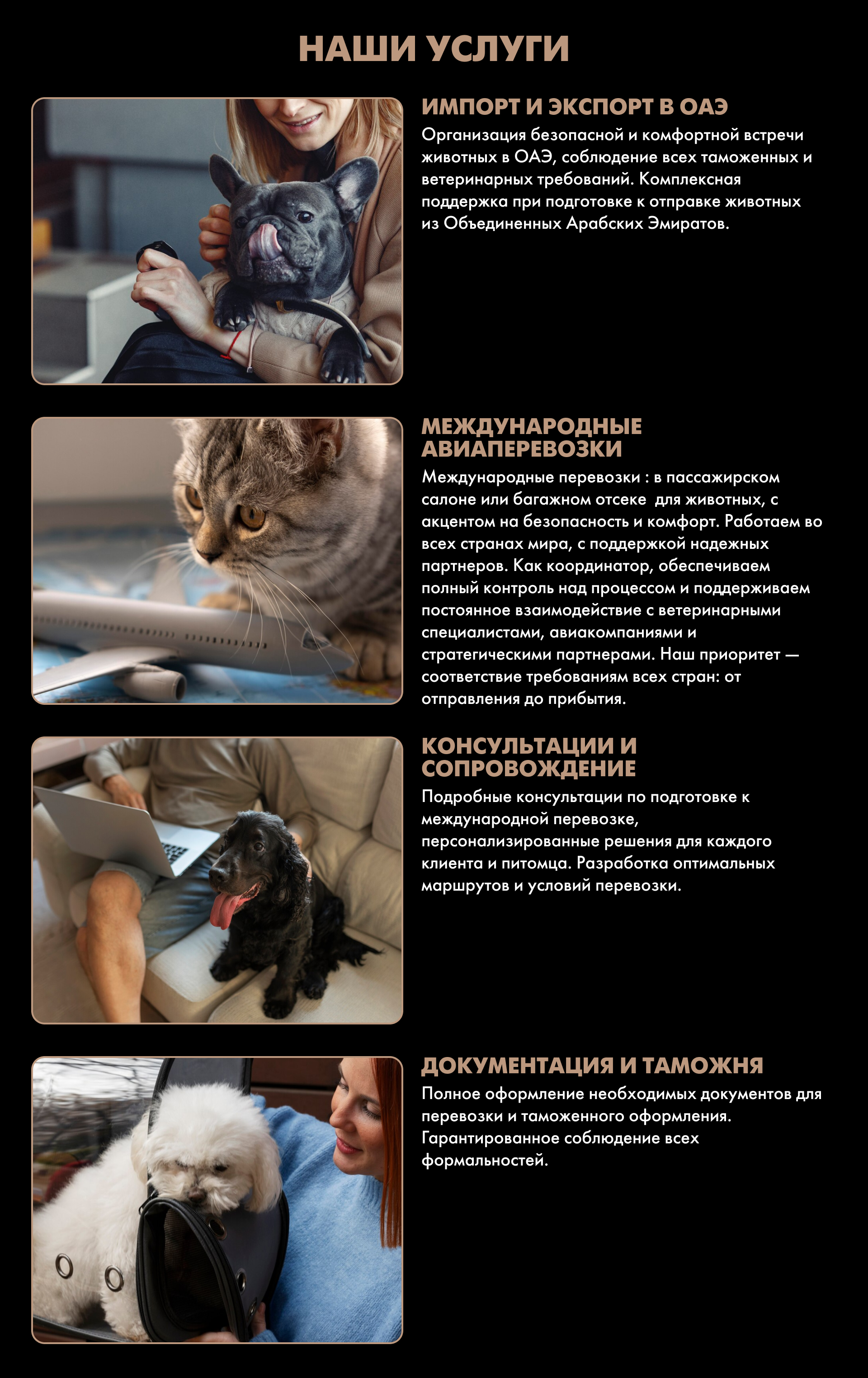 DELOROPETS — Изображение №4 — Интерфейсы, Брендинг на Dprofile