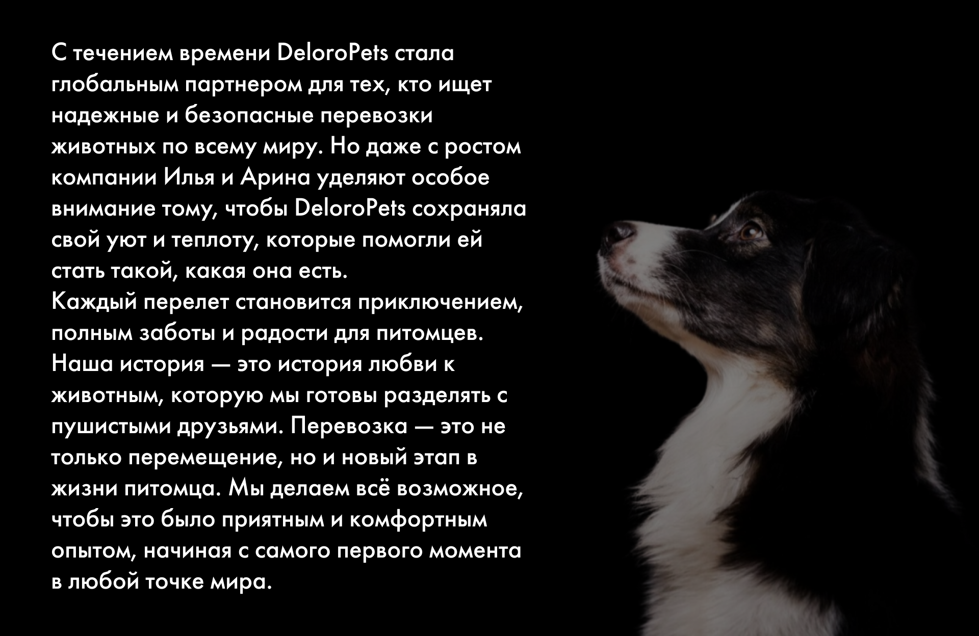 DELOROPETS — Изображение №7 — Интерфейсы, Брендинг на Dprofile