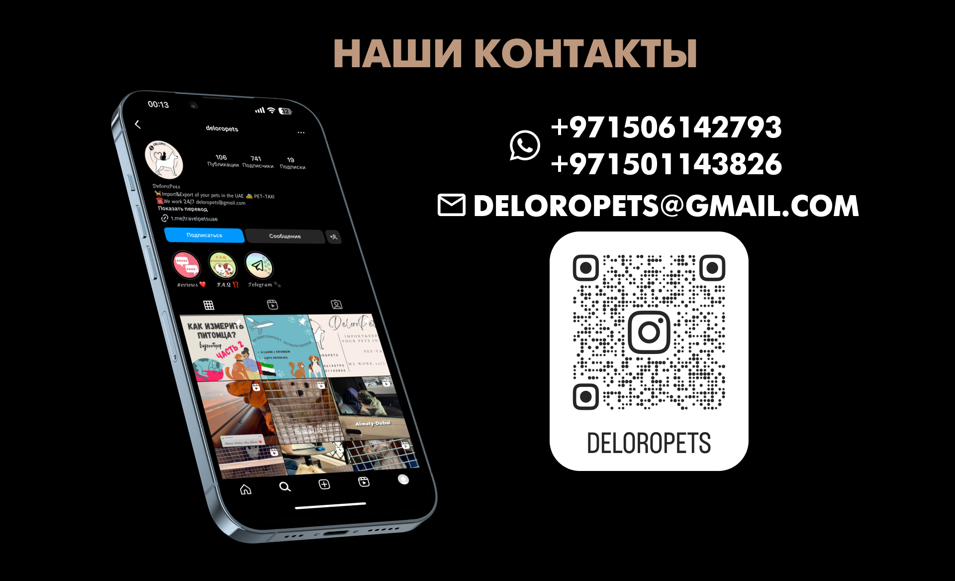DELOROPETS — Изображение №8 — Интерфейсы, Брендинг на Dprofile